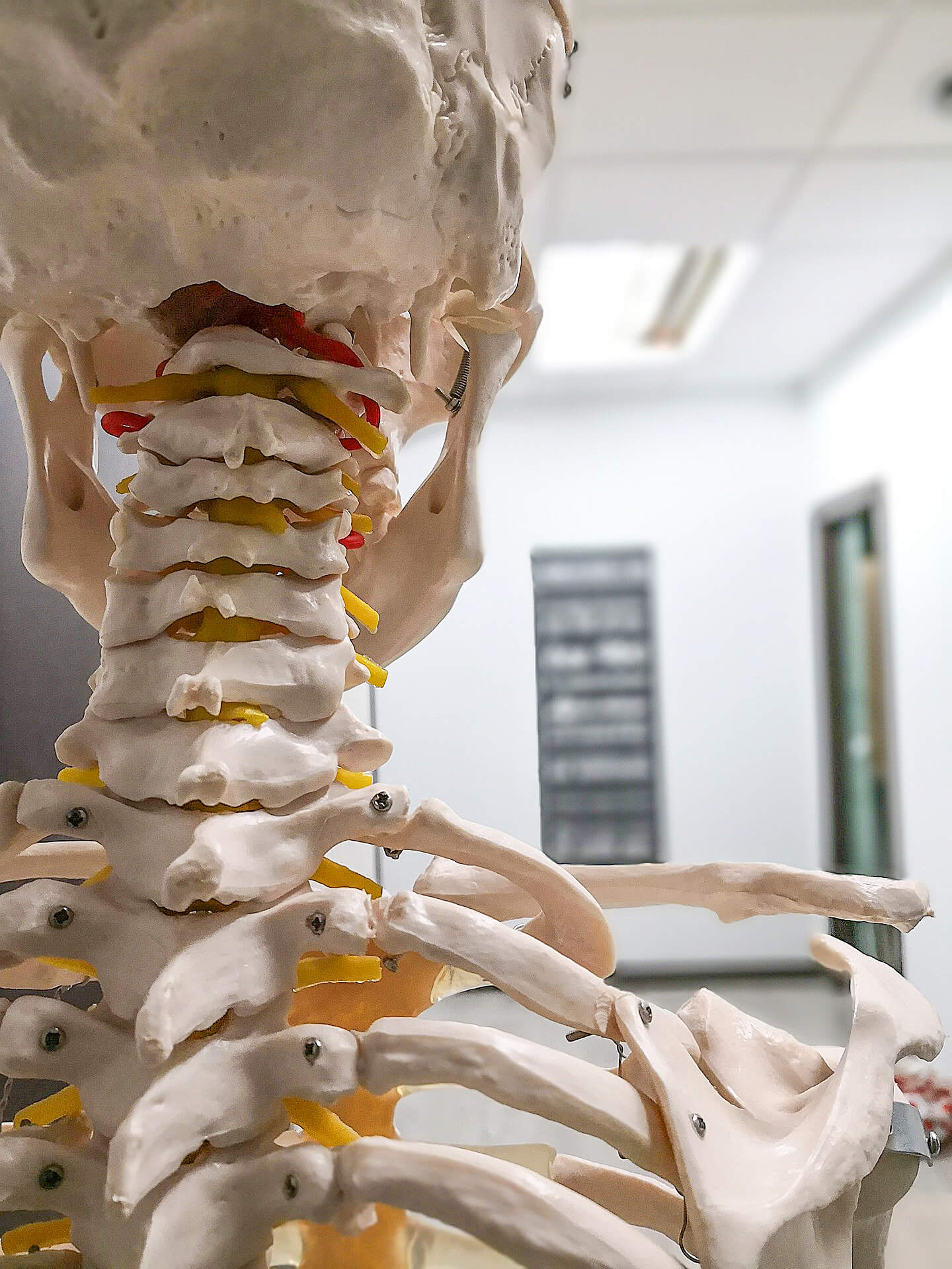 osteopath-physiotherapeut-oberberg-19 Praxis van der Viefen