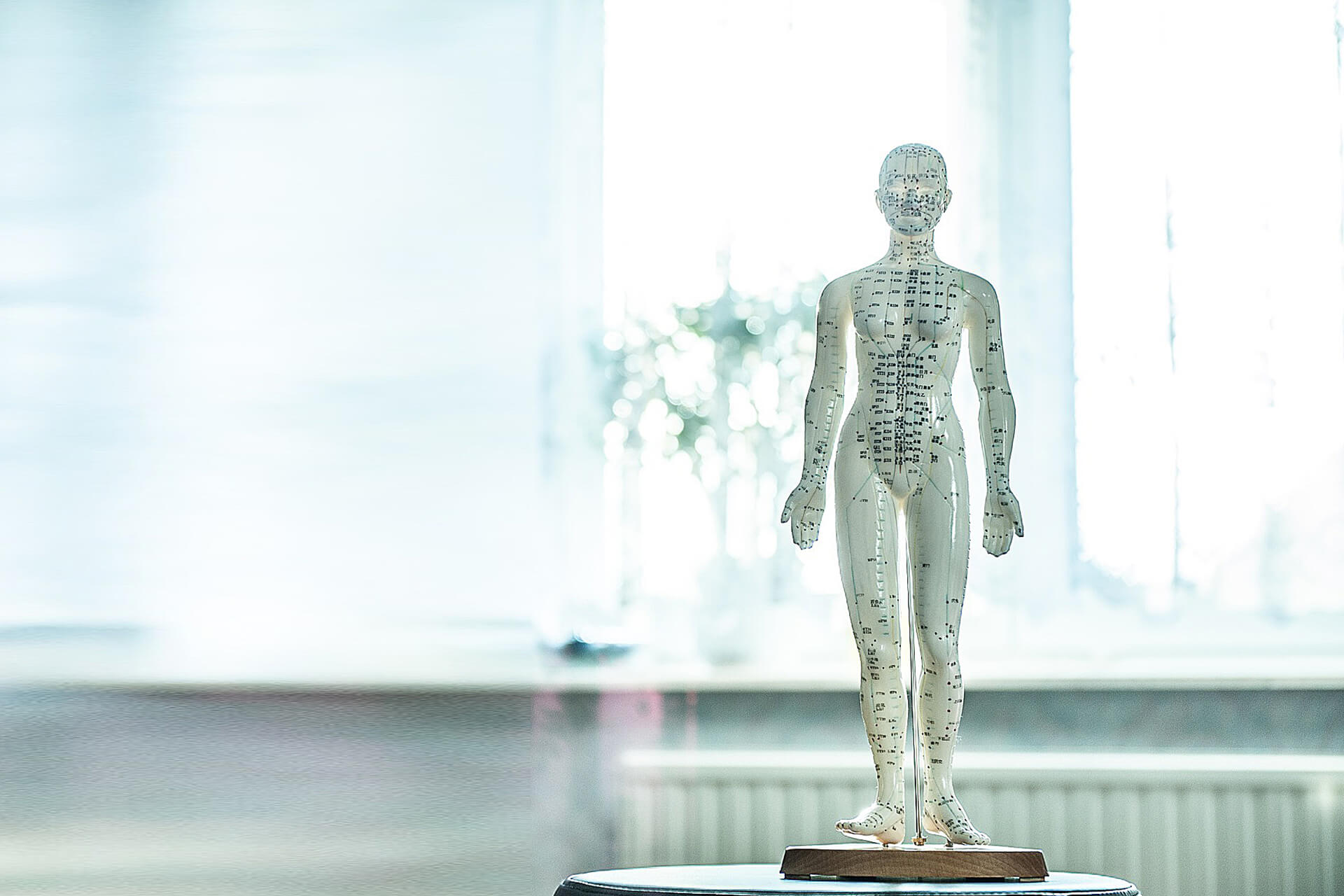 osteopath-heilpraktiker-oberberg-27 Osteopathie im oberbergischem Kreis.